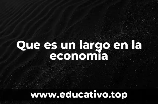 Que es un largo en la economia