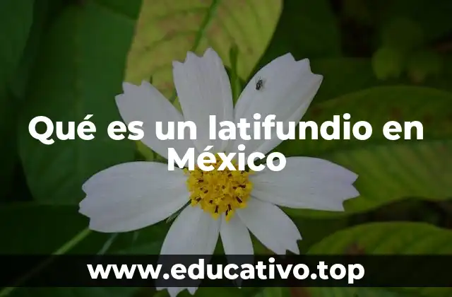 Qué es un latifundio en México
