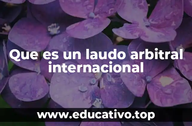 Que es un laudo arbitral internacional