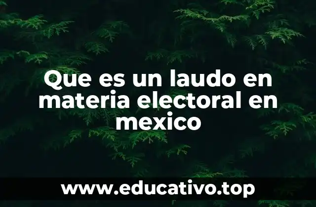 Que es un laudo en materia electoral en mexico