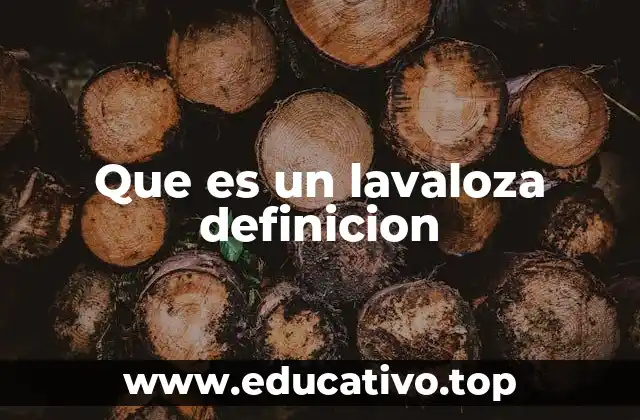Que es un lavaloza definicion