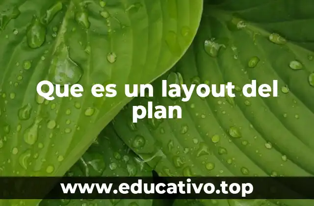 Que es un layout del plan