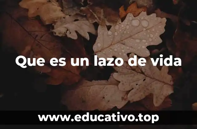 El significado detrás del símbolo del lazo