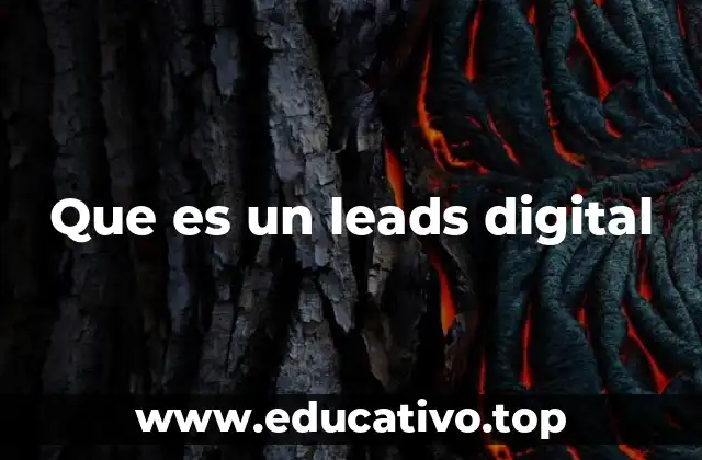 Que es un leads digital