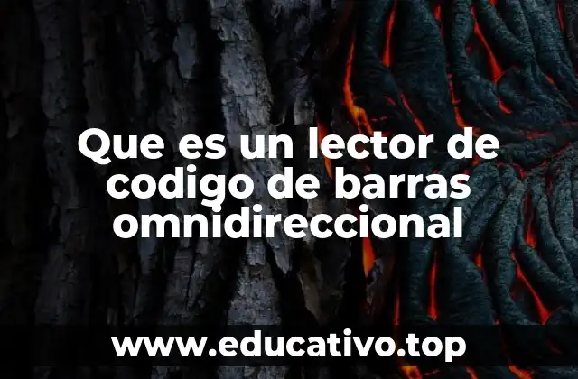 Características de los lectores omnidireccionales