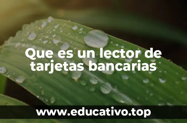 Funcionamiento de los dispositivos de lectura en transacciones financieras