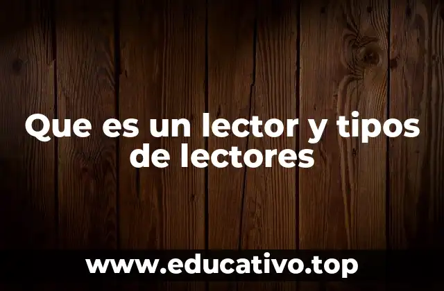 Que es un lector y tipos de lectores
