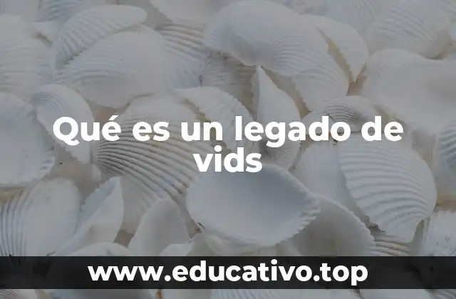 La evolución de los creadores a través de su contenido