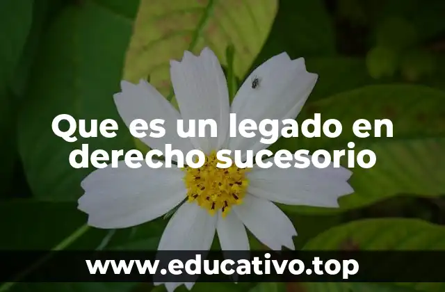 Que es un legado en derecho sucesorio