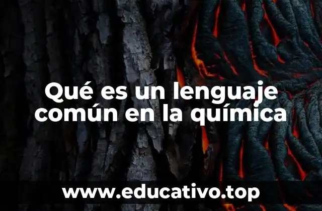 Qué es un lenguaje común en la química