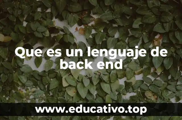 Que es un lenguaje de back end