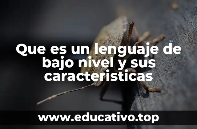 Que es un lenguaje de bajo nivel y sus caracteristicas