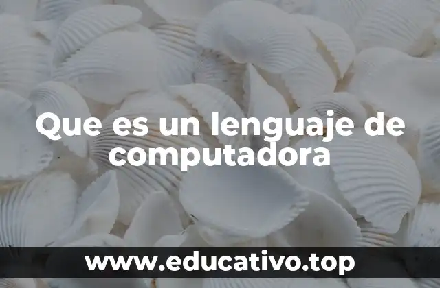 Que es un lenguaje de computadora