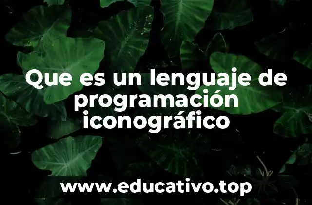 Que es un lenguaje de programación iconográfico