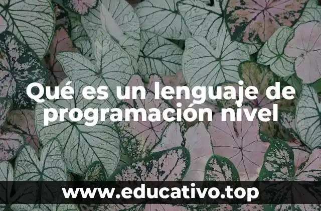 Qué es un lenguaje de programación nivel