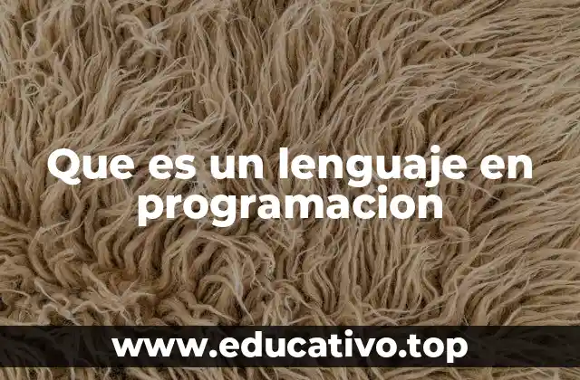 Que es un lenguaje en programacion