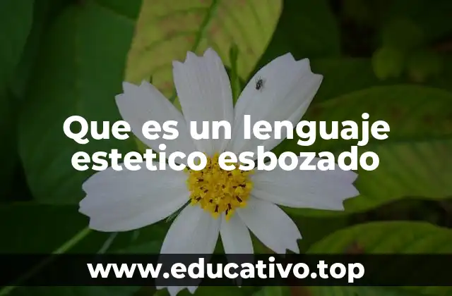 Que es un lenguaje estetico esbozado