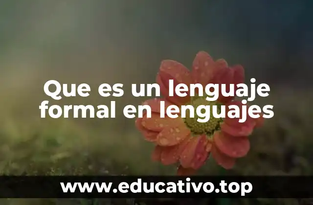 Que es un lenguaje formal en lenguajes