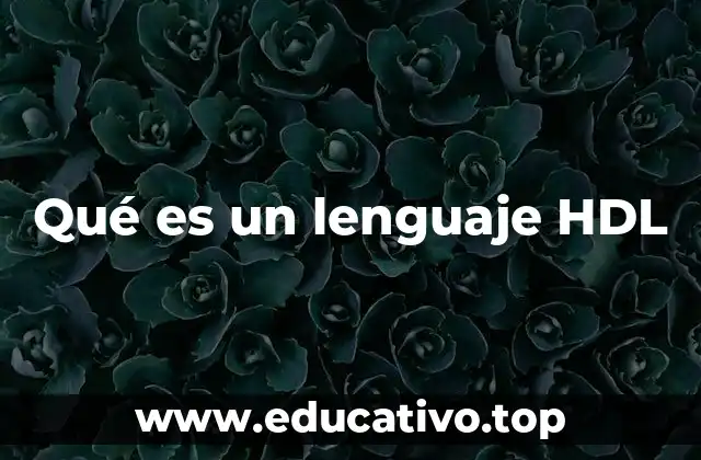 Qué es un lenguaje HDL
