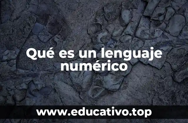 Qué es un lenguaje numérico