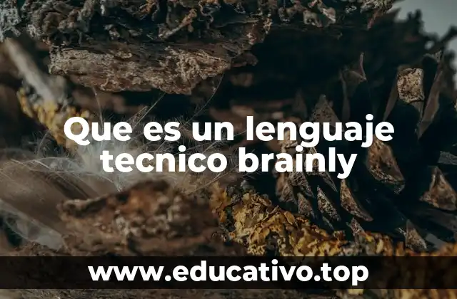 El lenguaje técnico y su relevancia en el aprendizaje digital