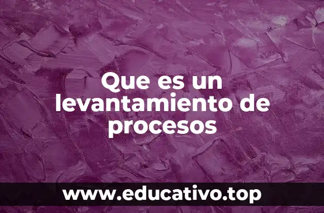 Que es un levantamiento de procesos