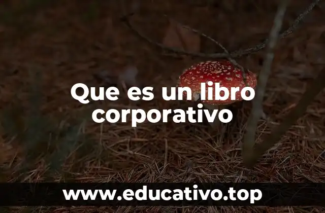 Que es un libro corporativo