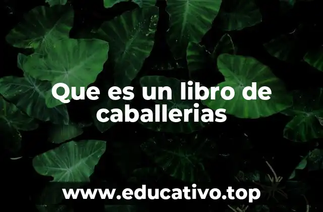 Que es un libro de caballerias