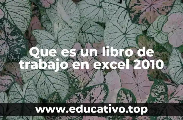 Que es un libro de trabajo en excel 2010