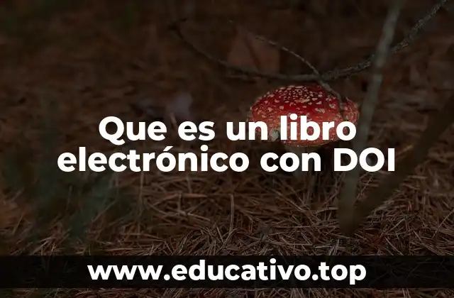 Que es un libro electrónico con DOI