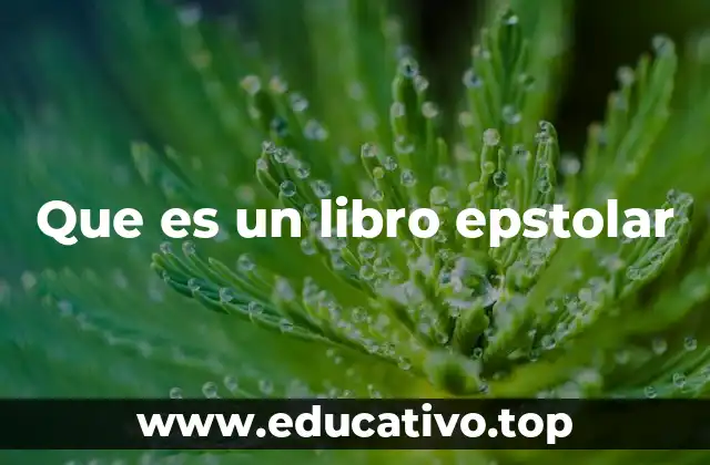 Que es un libro epstolar