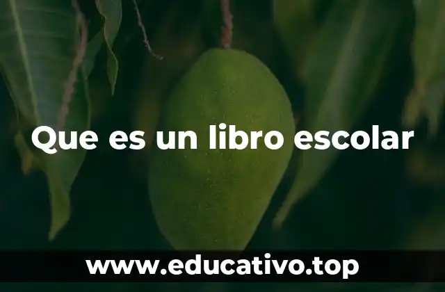 Que es un libro escolar