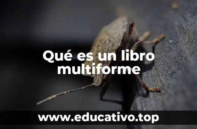 Qué es un libro multiforme