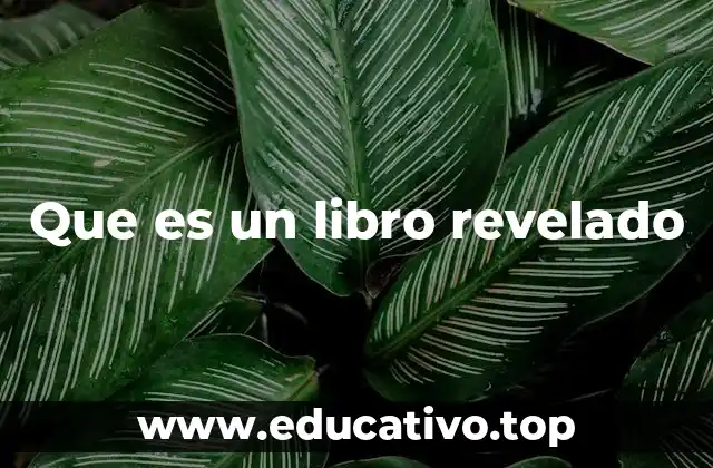 Que es un libro revelado