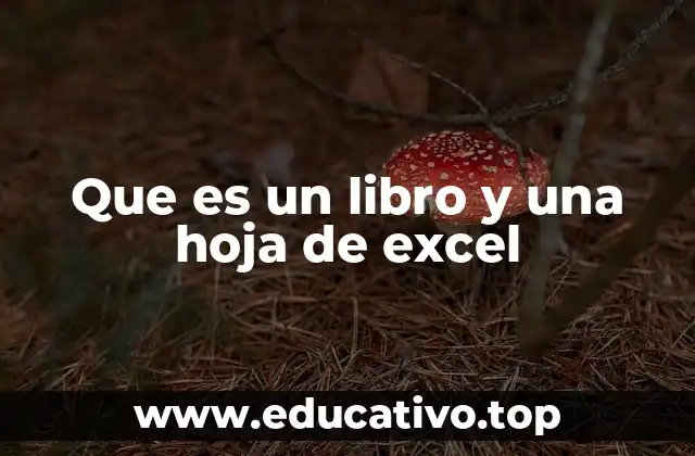 Que es un libro y una hoja de excel