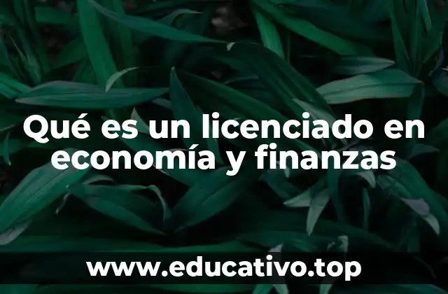 Qué es un licenciado en economía y finanzas