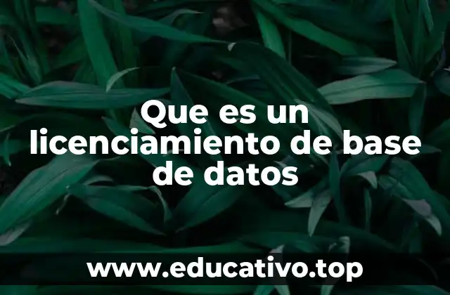 Que es un licenciamiento de base de datos