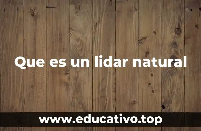 Que es un lidar natural