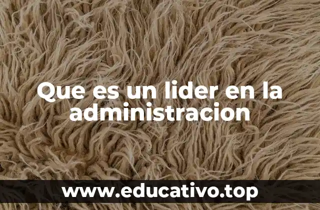 Que es un lider en la administracion
