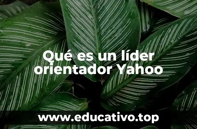 Qué es un líder orientador Yahoo