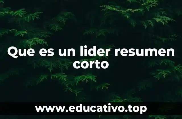 Que es un lider resumen corto