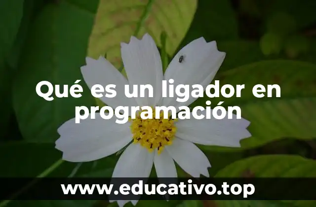 Qué es un ligador en programación