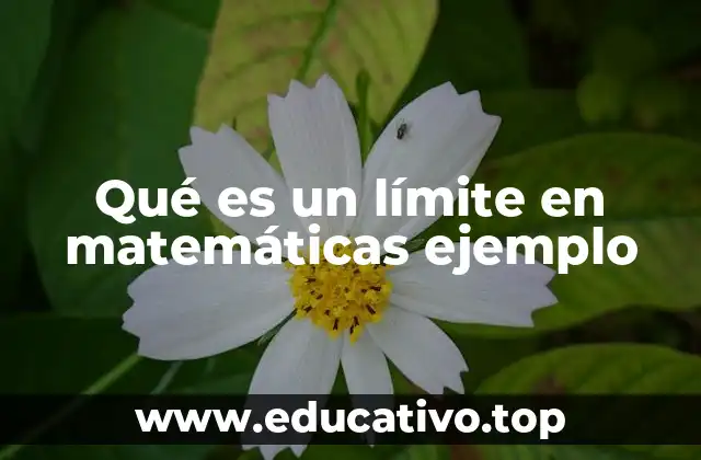 Qué es un límite en matemáticas ejemplo