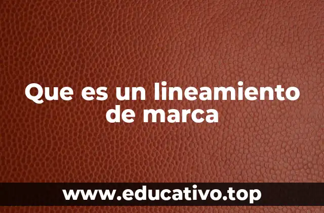 Que es un lineamiento de marca