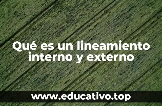 Qué es un lineamiento interno y externo
