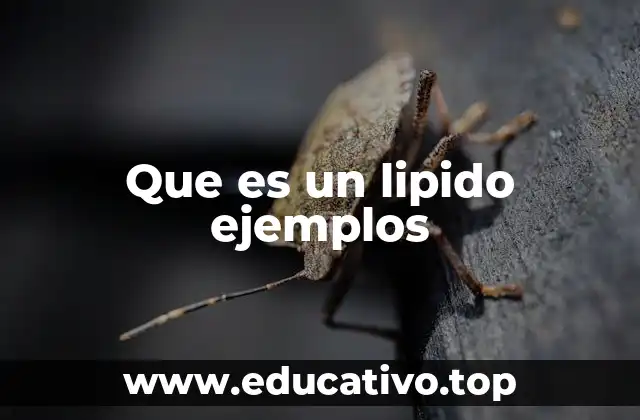 Que es un lipido ejemplos