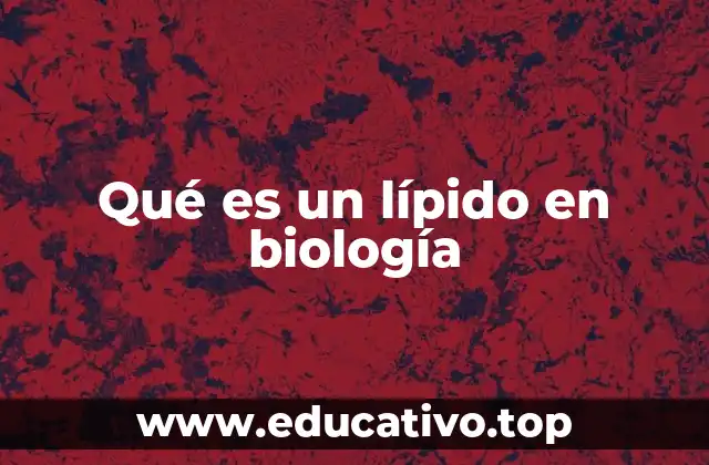 Qué es un lípido en biología