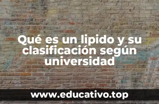 Qué es un lipido y su clasificación según universidad