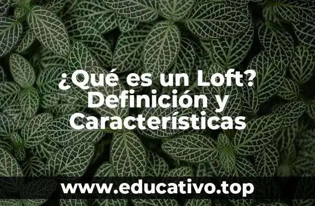 ¿Qué es un Loft? Definición y Características