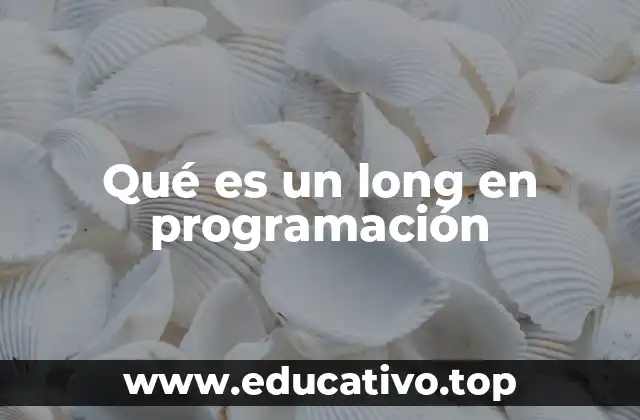 Qué es un long en programación